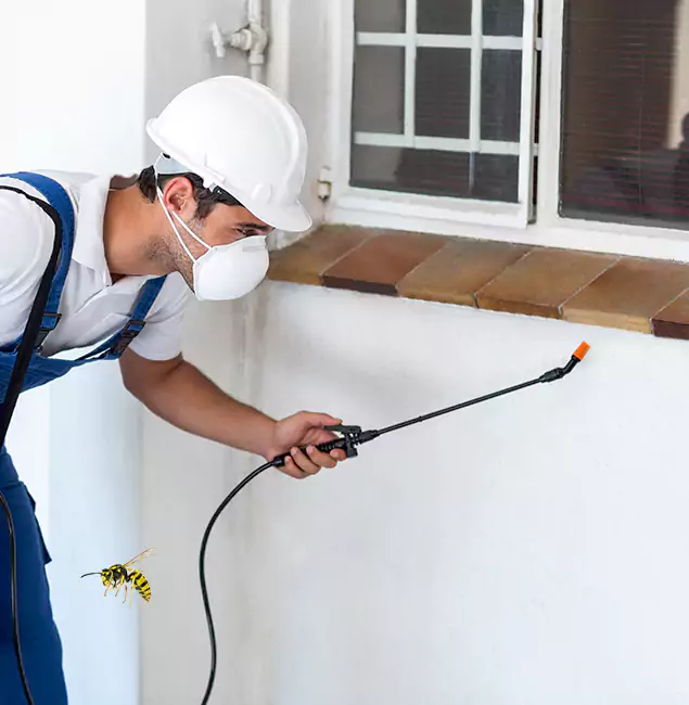 Why Woodstock Property Owners Choose Woodstock Pest Control Pro for Bee Nest Removal?