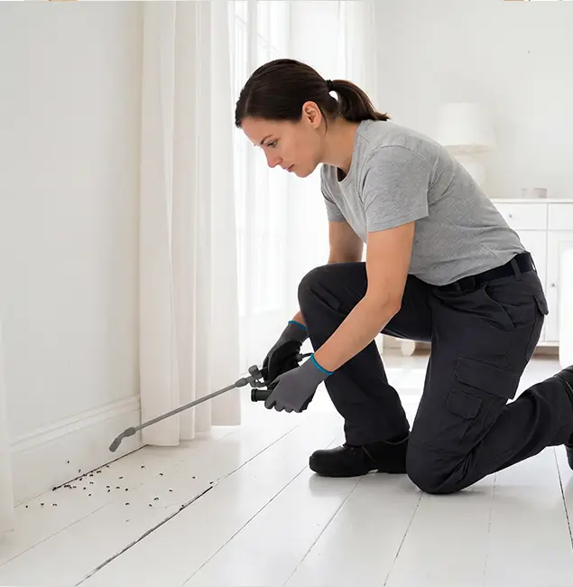 Why Woodstock, GA Property Owners Trust Woodstock Pest Control Pro for Fire Ant Control?
