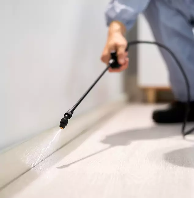 Why Choose Woodstock Pest Control Pro for Termite Treatment in Woodstock, GA?