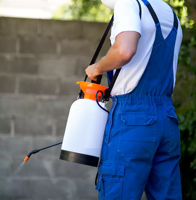Why Woodstock Homeowners Rely on Woodstock Pest Control Pro for Mosquito Control?