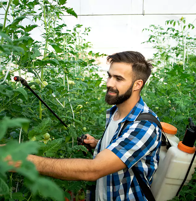 Why Woodstock Homeowners Choose Woodstock Pest Control Pro for Mosquito Spraying?
