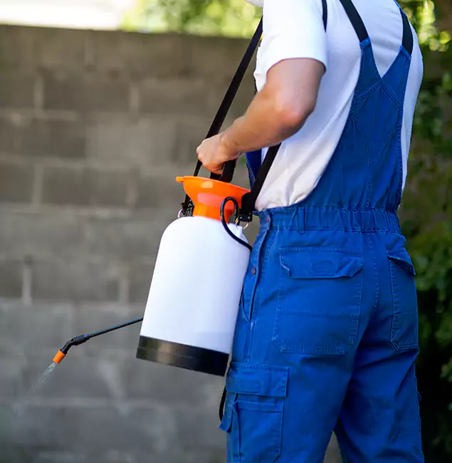 Why Woodstock Pest Control Pro Delivers the Best Mosquito Control in Woodstock, GA?