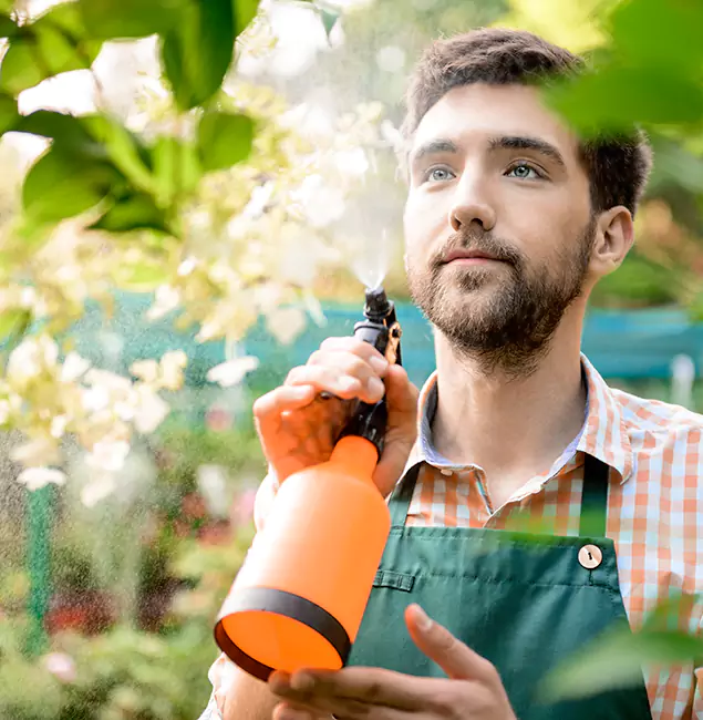 Why Woodstock Homeowners Call Woodstock Pest Control Pro for Mosquitoes in House?