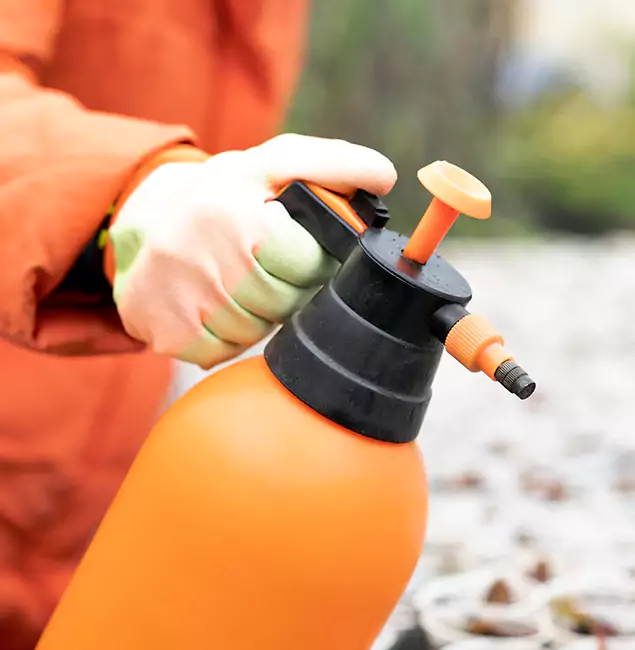 Why Choose Woodstock Pest Control Pro for Orange Termite Treatment in Woodstock, GA?