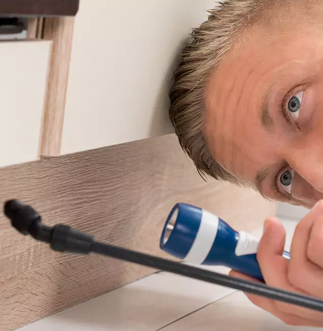 Why Choose Woodstock Pest Control Pro for Rodent Exterminator in Woodstock, GA?