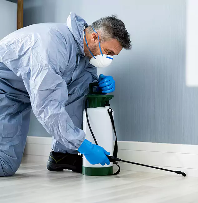 Why Choose Woodstock Pest Control Pro for Subterranean Termites Treatment in Woodstock, GA?