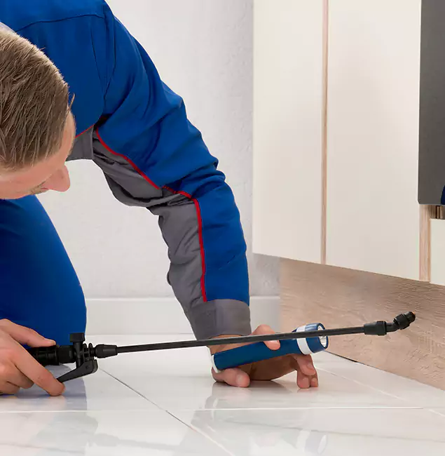 Why Woodstock Residents Choose Woodstock Pest Control Pro to Get Rid of Sugar Ants?
