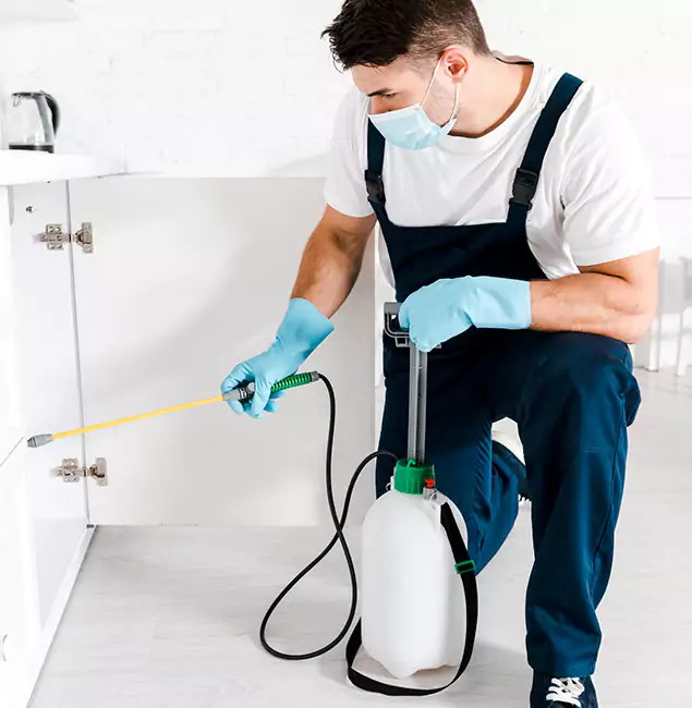 Why Choose Woodstock Pest Control Pro for Termite Spot Treatment in Woodstock, GA?