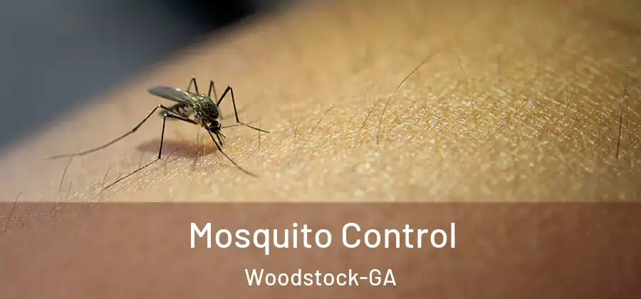 Mosquito Control Woodstock-GA