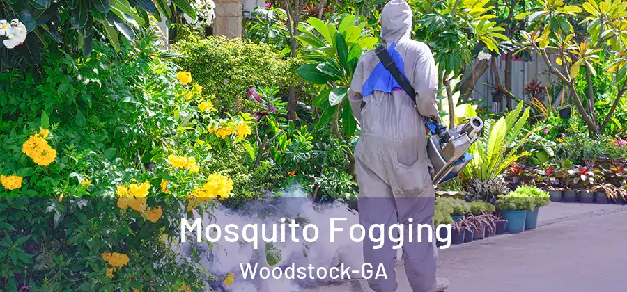 Mosquito Fogging Woodstock-GA
