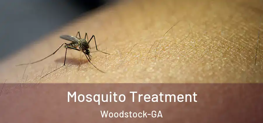 Mosquito Treatment Woodstock-GA