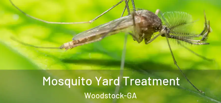  Mosquito Yard Treatment Woodstock-GA