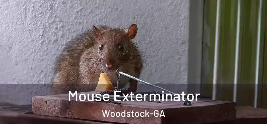 Mouse Exterminator Woodstock-GA