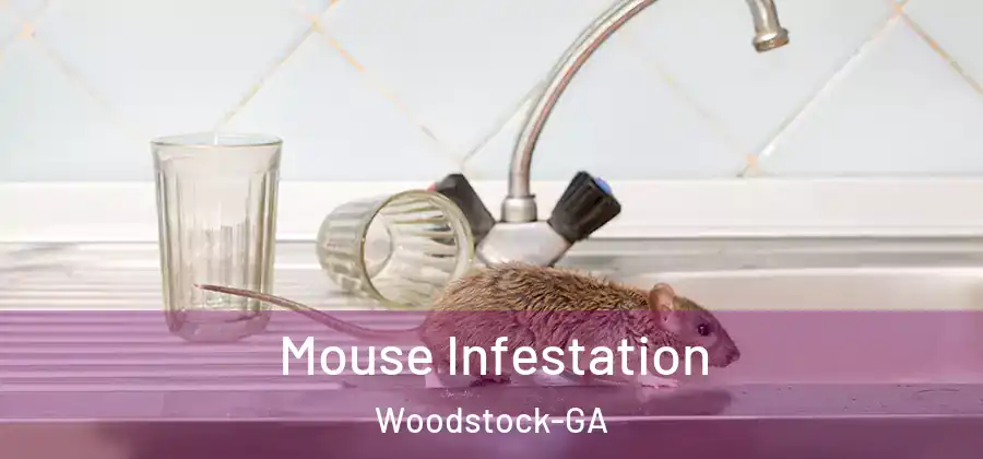 Mouse Infestation Woodstock-GA