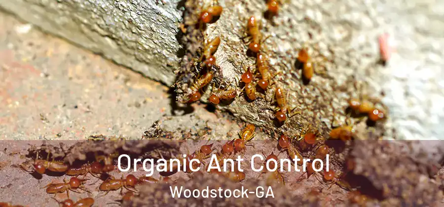  Organic Ant Control Woodstock-GA