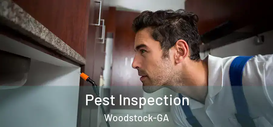 Pest Inspection Woodstock-GA