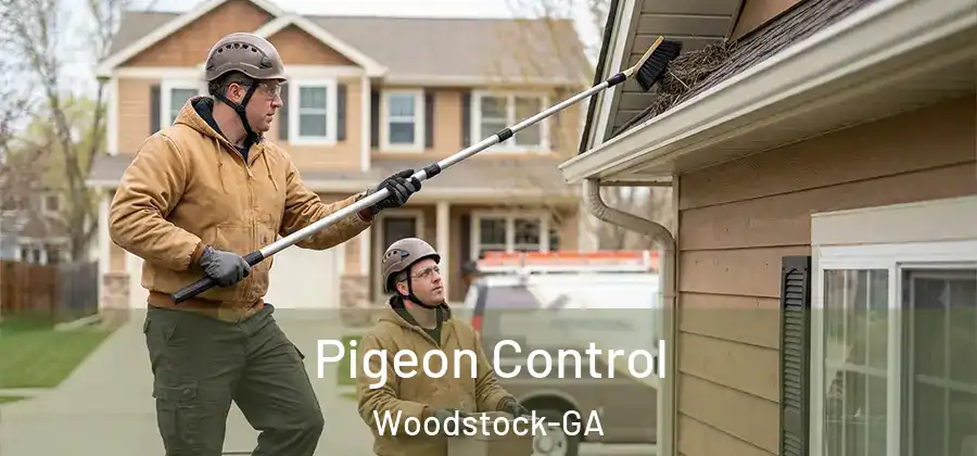 Pigeon Control Woodstock-GA