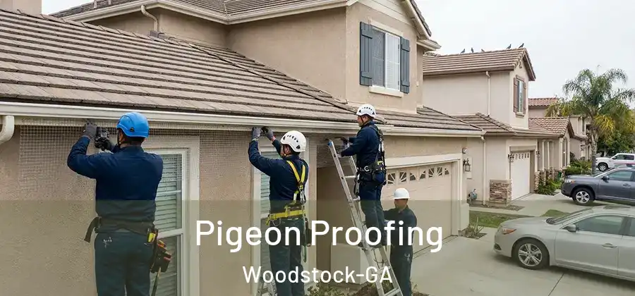 Pigeon Proofing Woodstock-GA