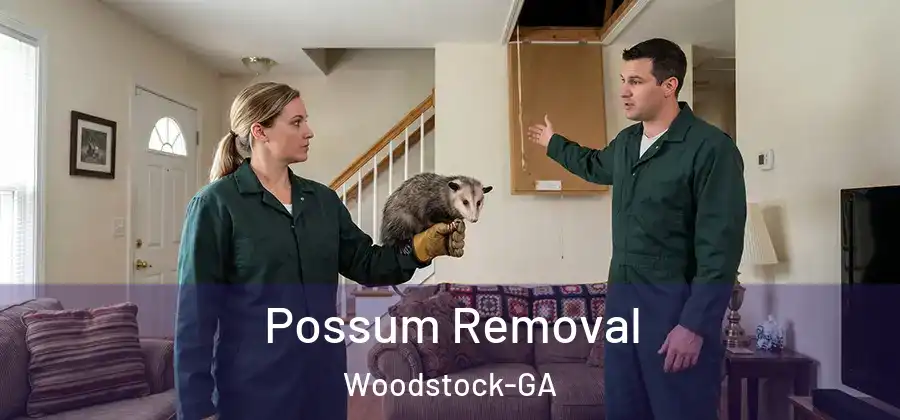 Possum Removal Woodstock-GA