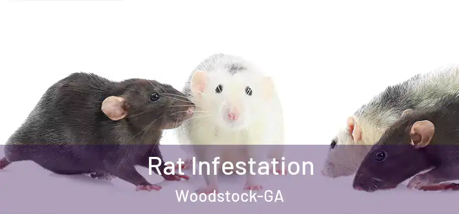  Rat Infestation Woodstock-GA