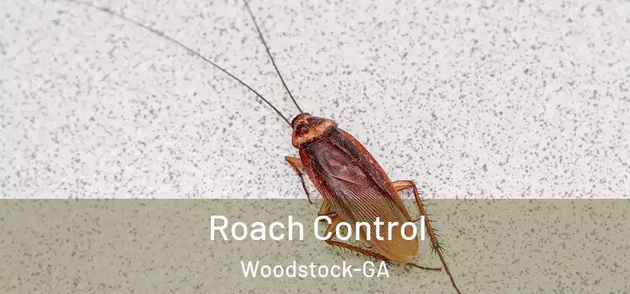 Roach Control Woodstock-GA