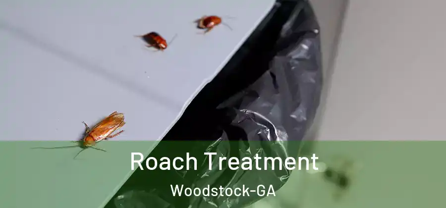 Roach Treatment Woodstock-GA