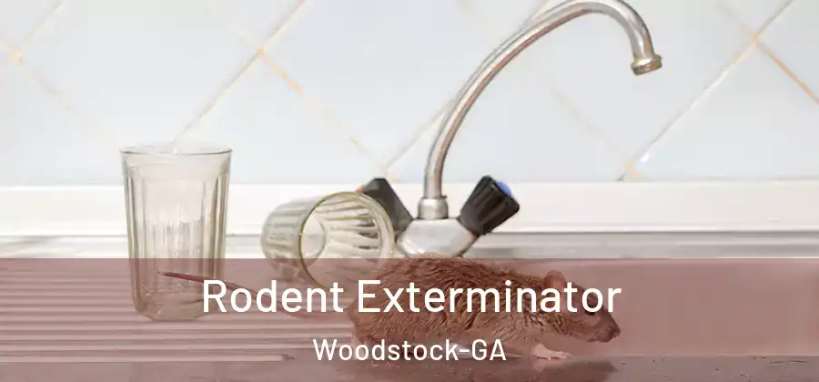 Rodent Exterminator Woodstock-GA