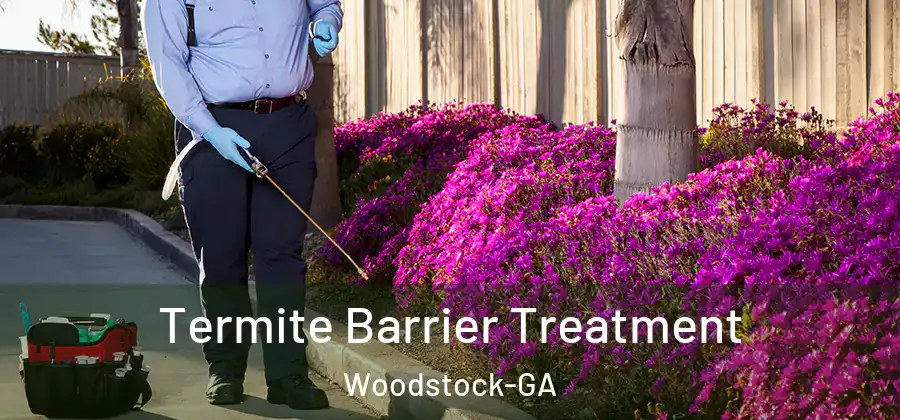 Termite Barrier Treatment Woodstock-GA