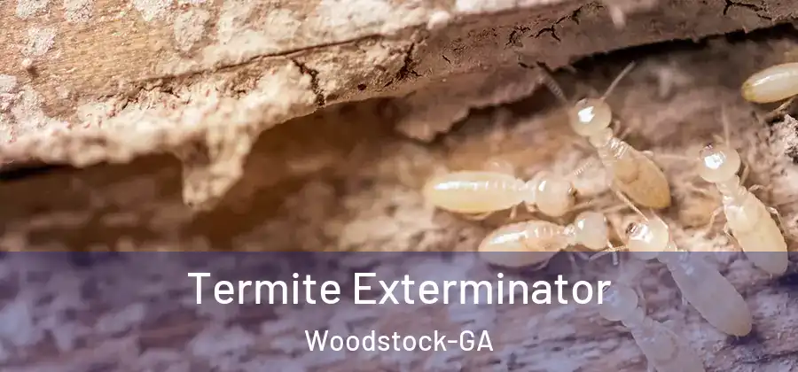 Termite Exterminator Woodstock-GA
