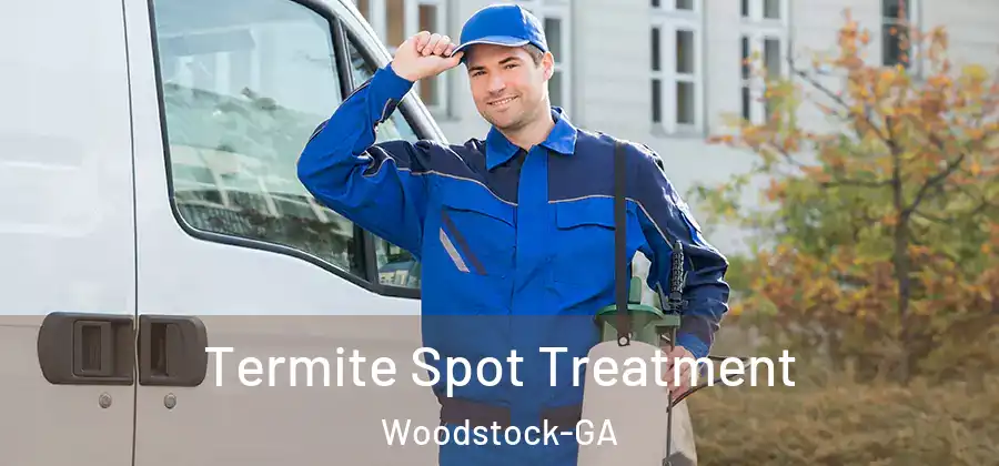  Termite Spot Treatment Woodstock-GA