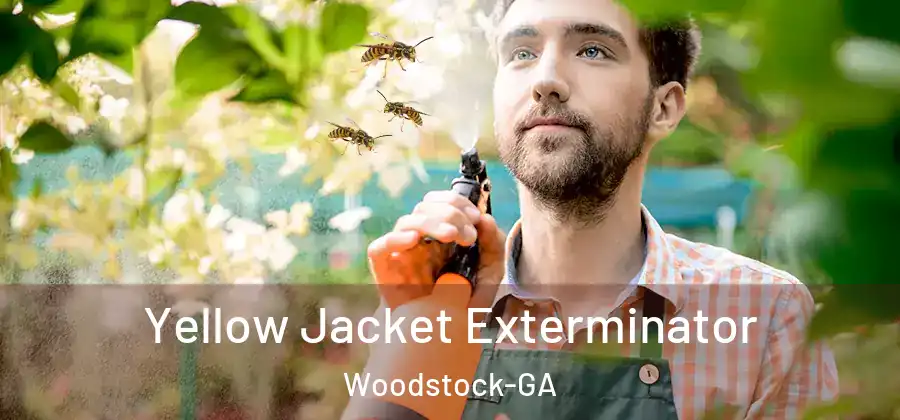 Yellow Jacket Exterminator Woodstock-GA